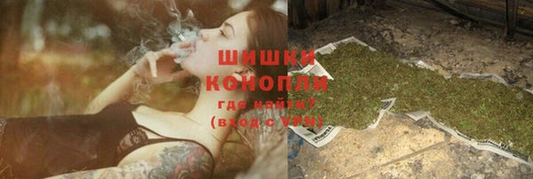 шишки Белоозёрский