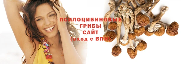 амфетамин Белокуриха