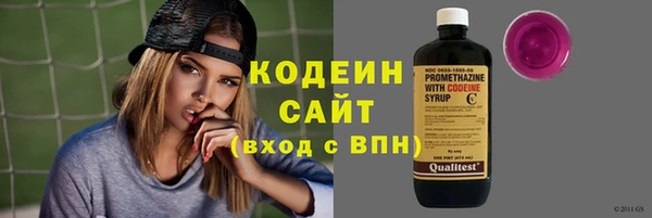 шишки Белоозёрский