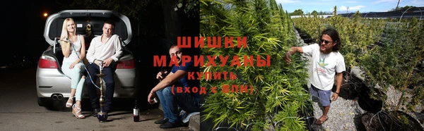 дурь Бородино