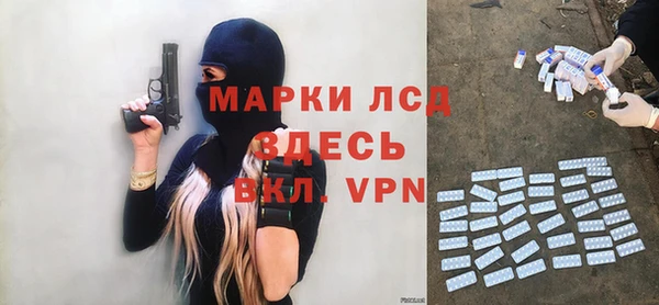 шишки Белоозёрский