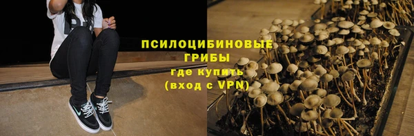 гашик Баксан