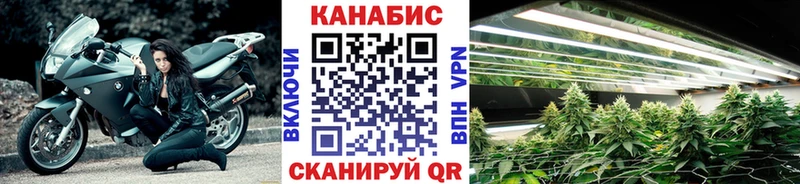 Каннабис Ganja  OMG ONION  Невель 